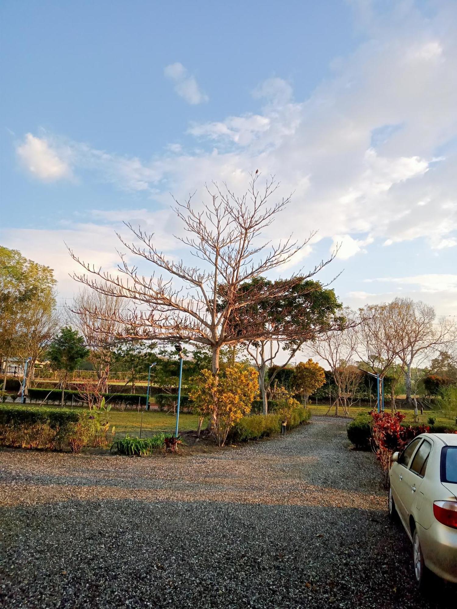 Penzion Maple Feeling Vacation Farm Guangfu Exteriér fotografie